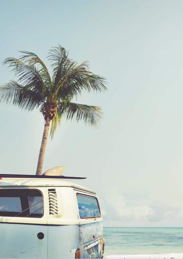 Vintage van with surfboard parked on a beach by the ocean, palm tree in background under clear sky.