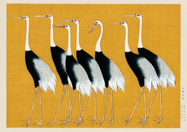 Póster Grous japoneses
