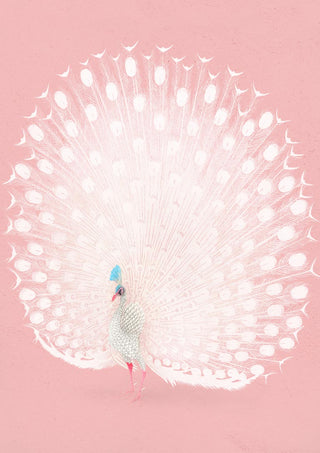 Pavão cor-de-rosa de Ohara Koson, poster