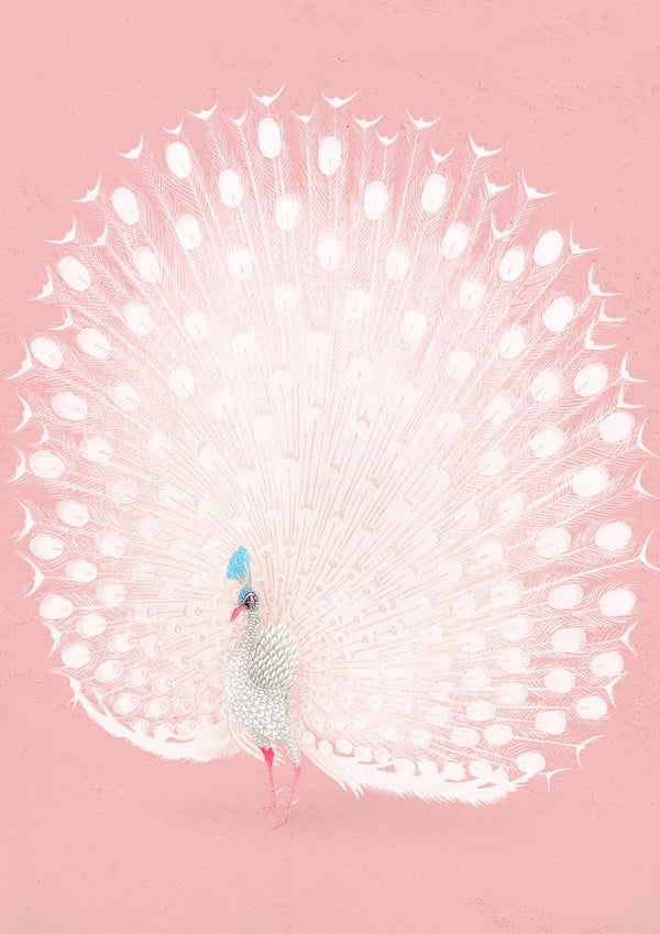 Pavão cor-de-rosa de Ohara Koson, poster