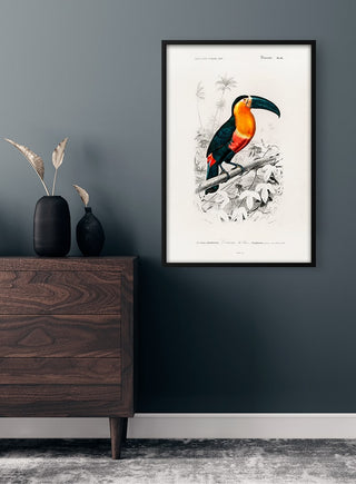 Framed Toucan illustration by Charles Dessalines Plakat displayed above a modern wooden dresser in a stylish room.
