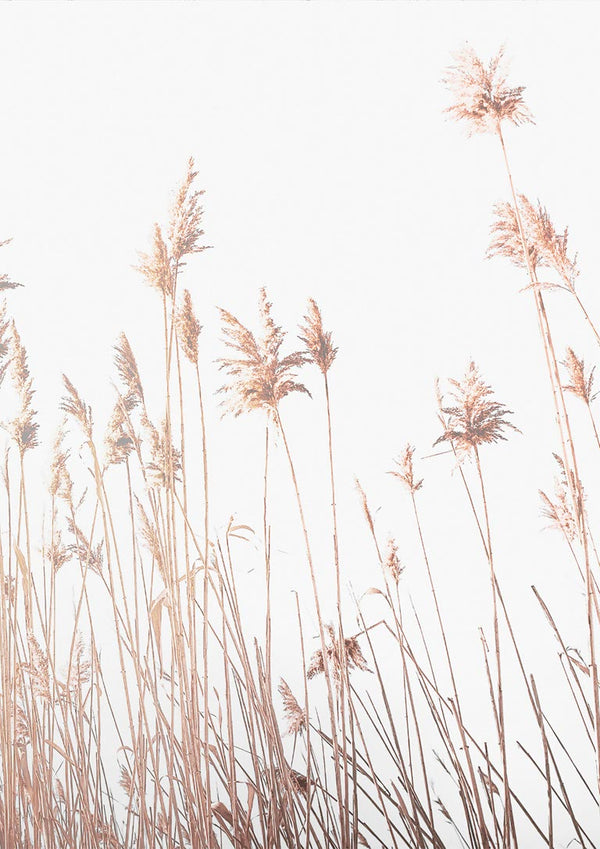 Minimalist poster featuring abstract reeds against a white background, perfect for modern home decor.