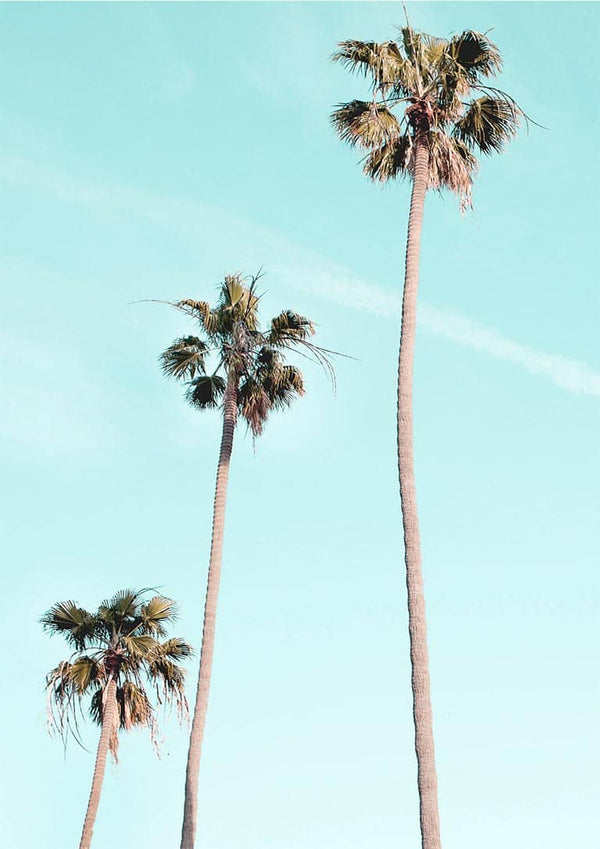 Three tall palm trees against a clear blue sky on the Tall Palms on Beach Plakat product page.