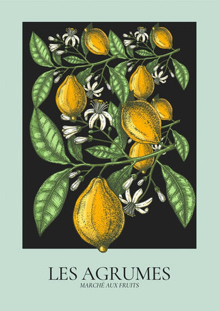 Illustration of yellow citrus fruits and green leaves with the text "Les Agrumes" on a Les Agrumes Green Plakat product page.