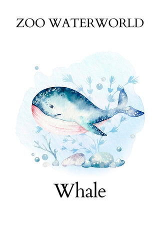 Watercolor illustration of a blue whale swimming, with plants and rocks, labeled "Whale" for Zoo Waterworld.
