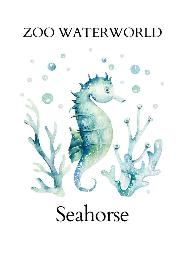 Illustration of a seahorse among coral with "Zoo Waterworld Seahorse" text, product page display.