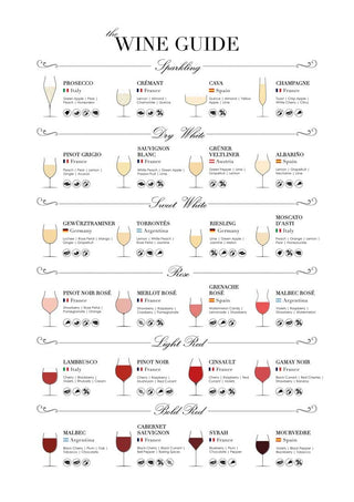 Wine guide poster displaying various wine types, glass shapes, and ideal food pairings.