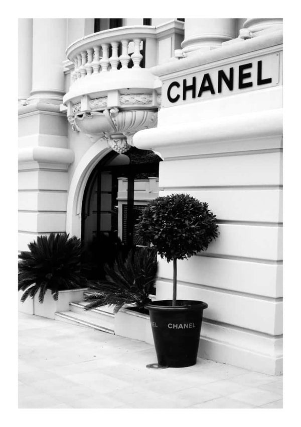 Elegant Chanel boutique entrance with black potted plant and classic architectural details.