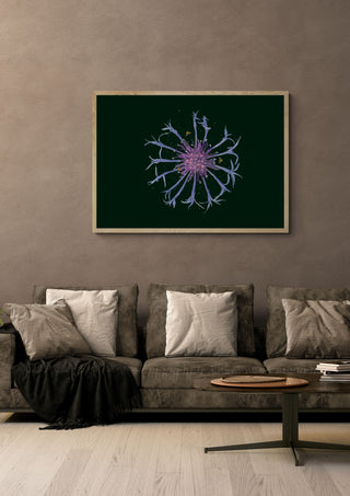 Cornflower in the Dark by Creationsbyeditabrus in a light oak frame on a warm grey wall above a brown sofa with cushions