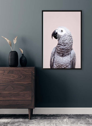 Framed portrait of an African Grey parrot hanging on a gray wall above a wooden dresser.