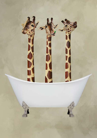 Three giraffes with playful expressions standing in a white bathtub; Giraffes in Bathtub - Coco de Paris.