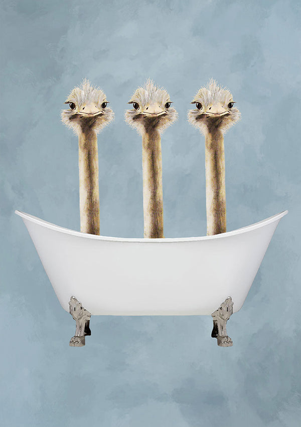 Three ostriches with long necks sit together inside a white clawfoot bathtub against a blue background.