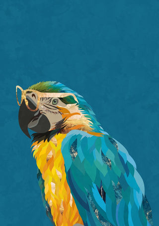 Illustration of a colorful macaw wearing glasses on a blue background, by Sarah Manovski.