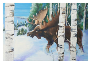 Moose by creatievananne - a bull moose among birch trunks in a blue winter wood