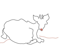 Resting Cat by Eva Hartman - a cat drawn in one unbroken pen line on white