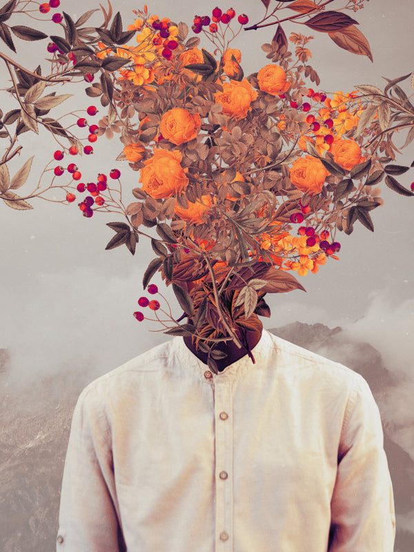 A person in a white shirt with their head replaced by blooming orange flowers and berries; surreal art print.