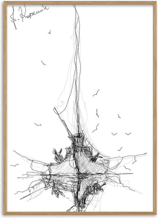 Ship and Gulls - Justyna Kopania
