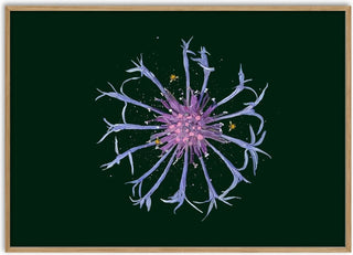 Cornflower in the Dark - Creationsbyeditabrus