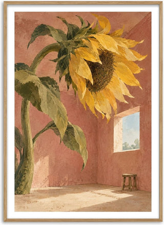 A Window for the Sun - Matthews Gallerie