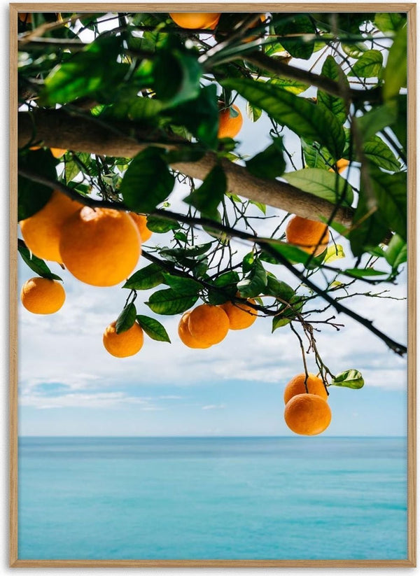 Fresh Amalfi Coast oranges hanging from a tree branch above the blue Mediterranean Sea.