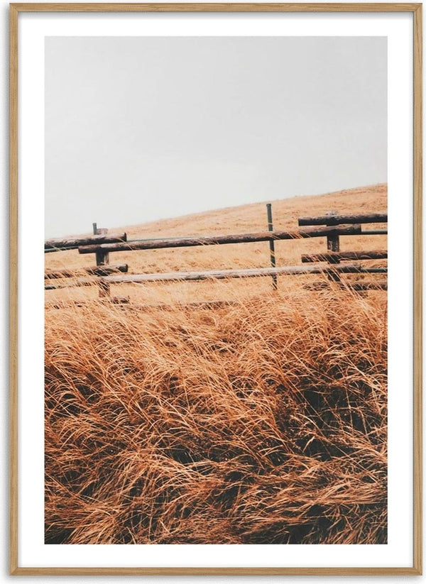 Poster of an autumn field with tall golden grass and a rustic wooden fence under a gray sky.