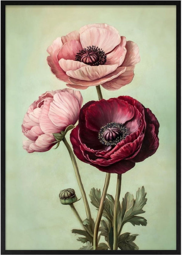 Blush and Burgundy by Annika Persson - two blush pink blooms and a deep burgundy flower on pale green
