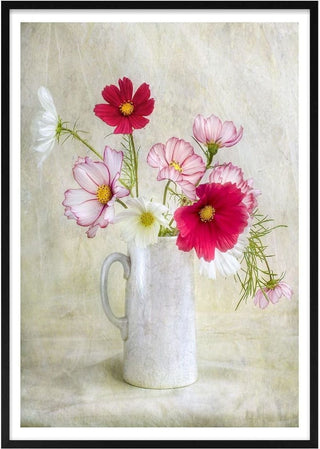 Cosmos Carnival - Mandy Disher