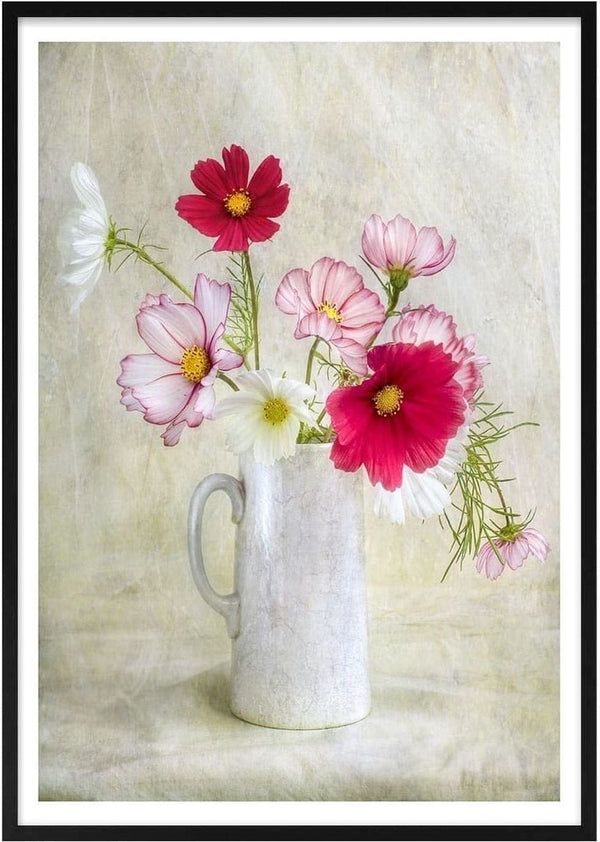 Cosmos Carnival by Mandy Disher featuring pink and white cosmos flowers in a white ceramic jug.