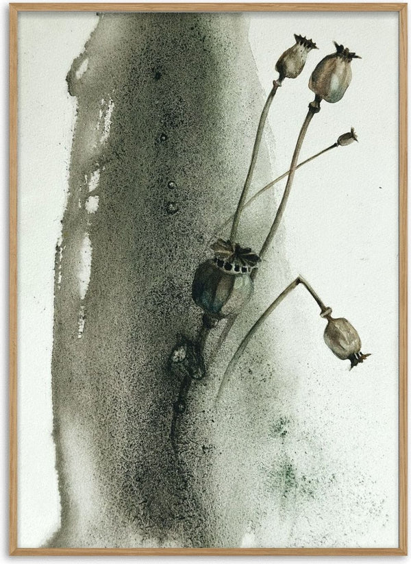 Death by Tania Zubareva - dried poppy seed heads against a grey-green wash