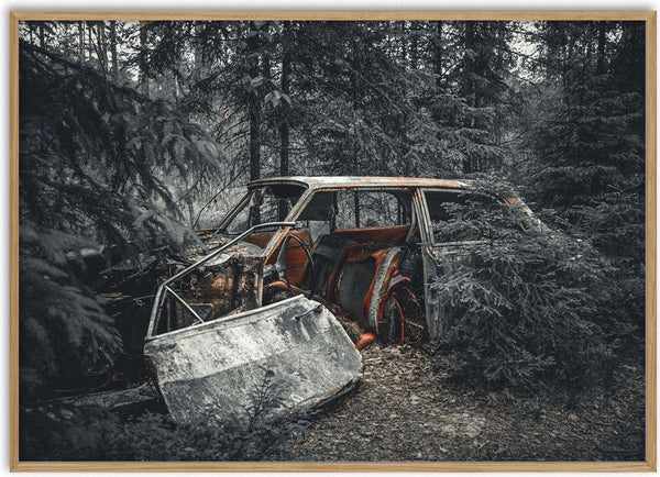 Decay (2) by Lone Gjessing - a rusted estate car with its door fallen off in a pine forest