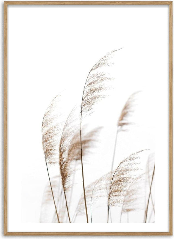 Minimalist botanical print featuring delicate dry reeds against a white background for home decor.