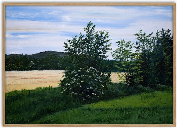 Elderflower by Juergen Duerrmann - an elder bush in white bloom at the edge of a green meadow