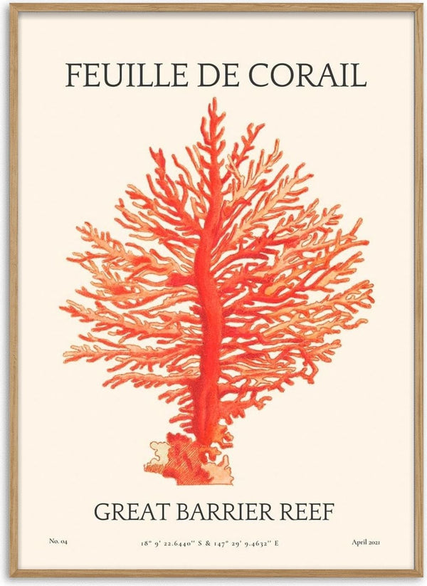 Art print of an orange coral branch labeled "Feuille De Corail No. 04 Plakat, Great Barrier Reef."