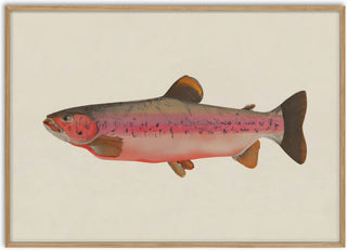 Fishy - Interiorisla