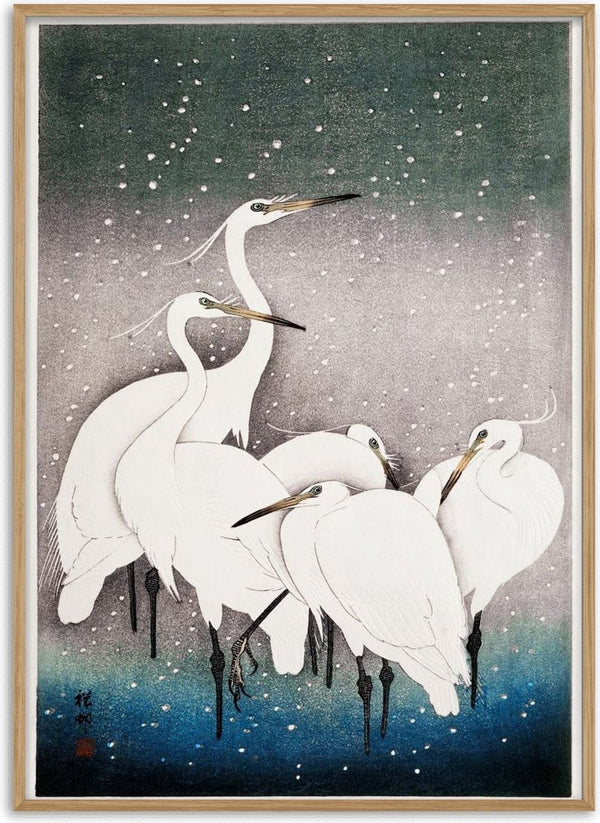 Japanese woodblock print of a group of white egrets by Ohara Koson, standing together in falling snow.