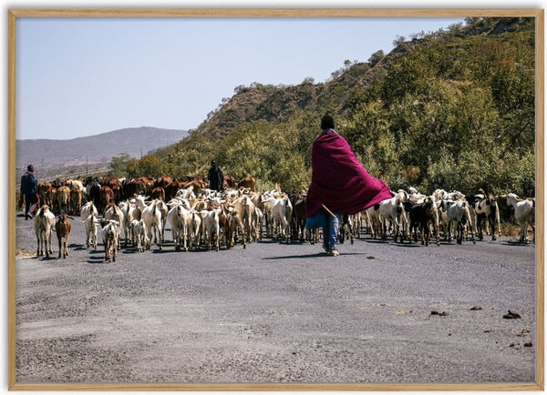 Leading us Home by Gloria Mwivanda - Maasai herders leading cattle and goats along a gravel road