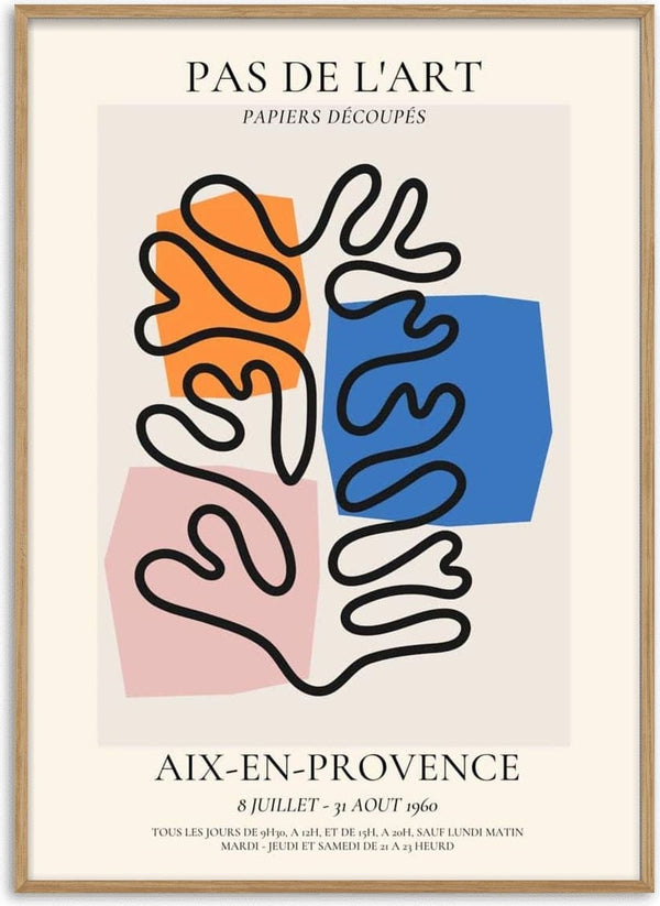 Matisse Inspired Pas De L'art poster