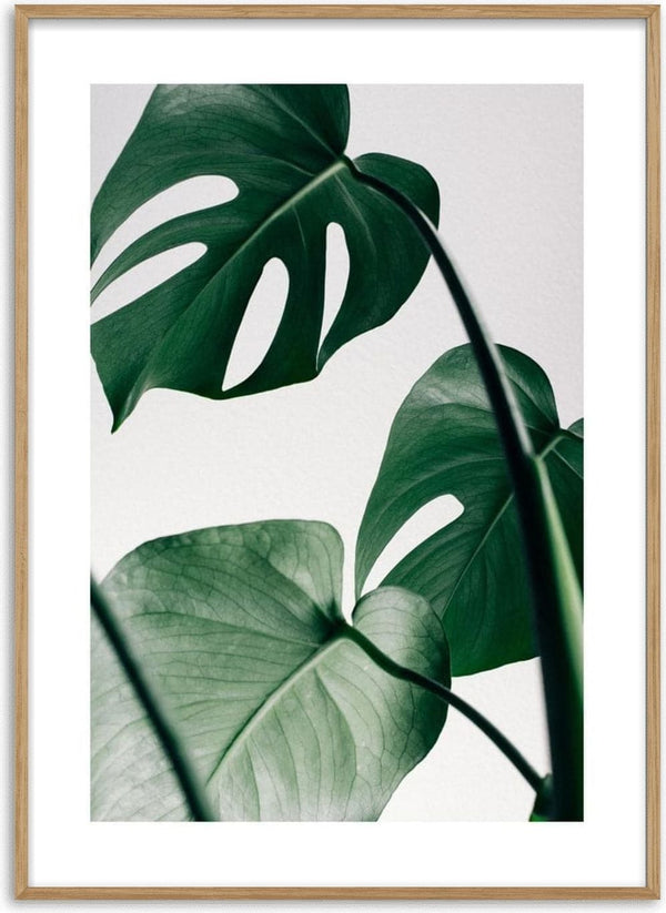 Minimalist poster featuring close-up Monstera leaves with natural green shades against a light background.