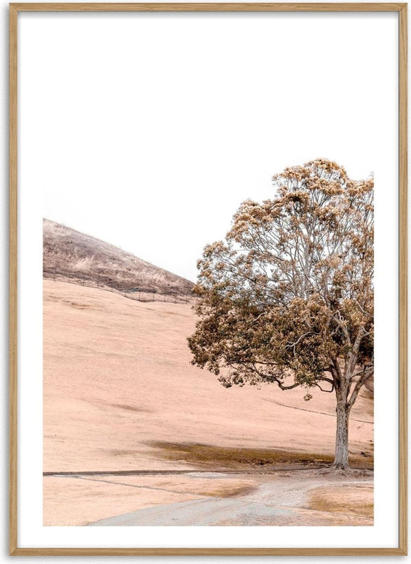 A serene tree stands by Lake Plakat, reflecting mountains and calm skies, featured on the Mountain Mirroring product page.