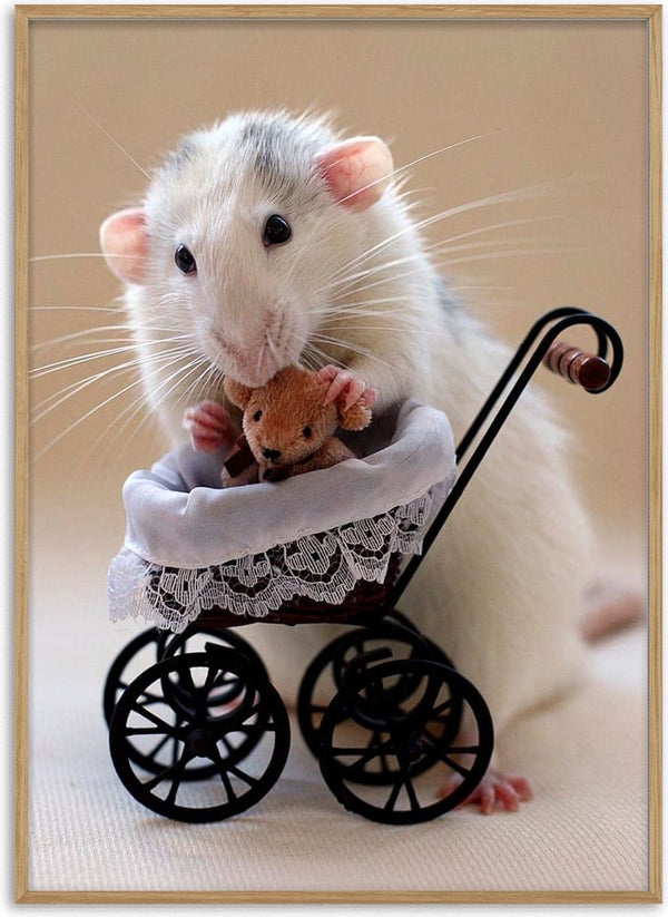 A cute rat holds a small teddy bear in a lace-trimmed stroller, perfect for My teddybear :) product page.