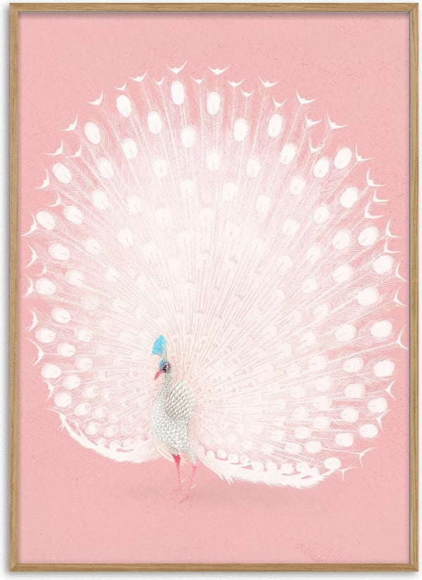 Pavão cor-de-rosa de Ohara Koson, poster