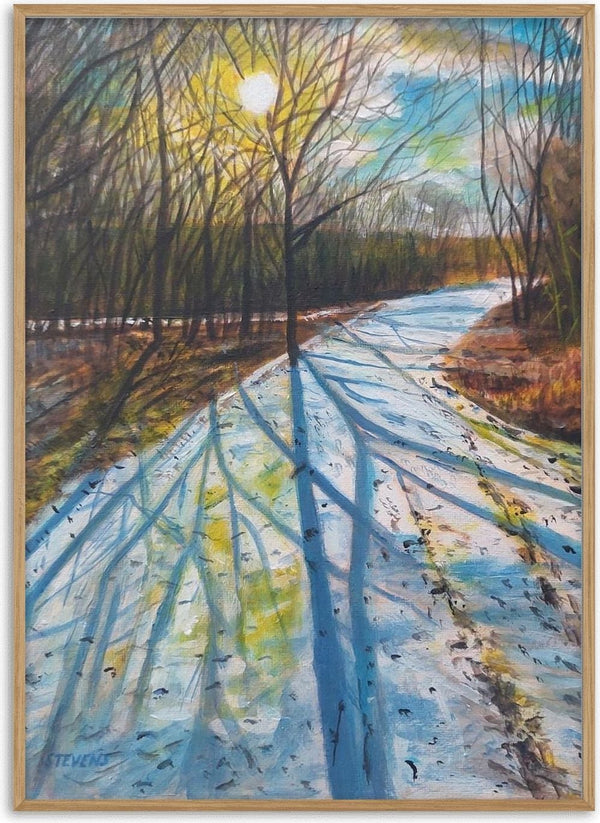 Shadows of the Day by Finbar Stevens - long blue tree shadows across a snow-covered track