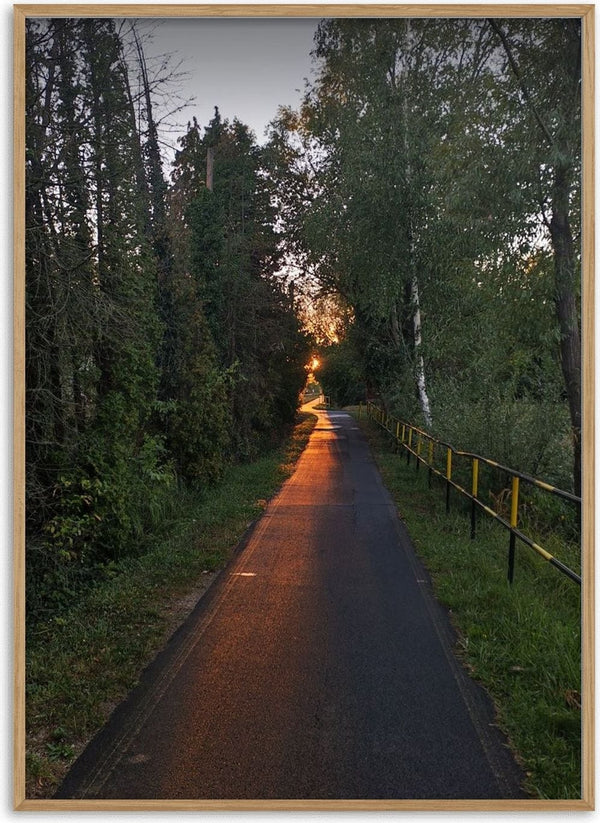 The Amber Forest Path by Bora Kőhalmi - amber evening light on a narrow paved path between dark green trees