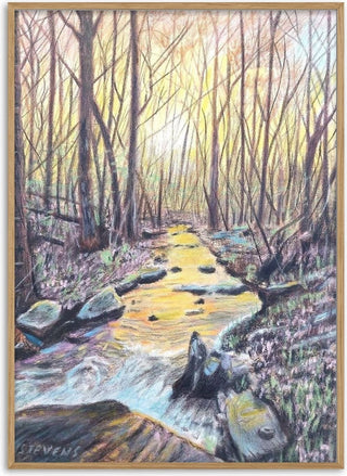 The Evening Stream - Finbar Stevens Art