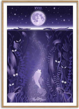 The Moon - Sciurus tarotus