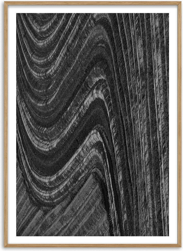 Traces by Lone Gjessing - ploughed fields in long curving lines seen from the air in black and white
