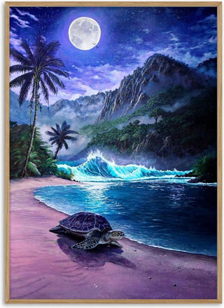 Where moonlight sleeps - Alan Minshull