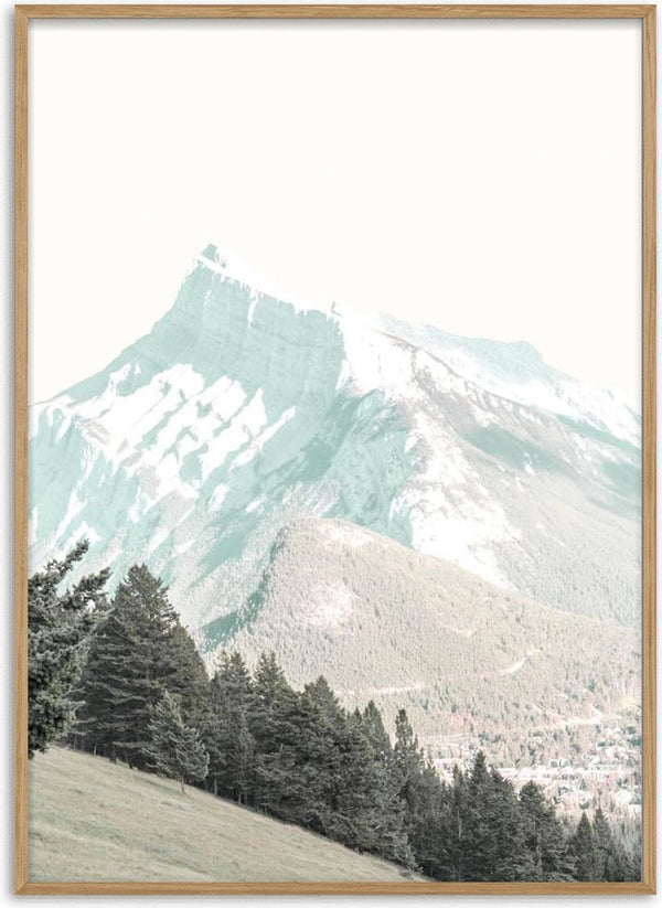 Snow-capped White Mountain peak with green pine trees in the foreground, featured on a White Mountain Plakat product page.